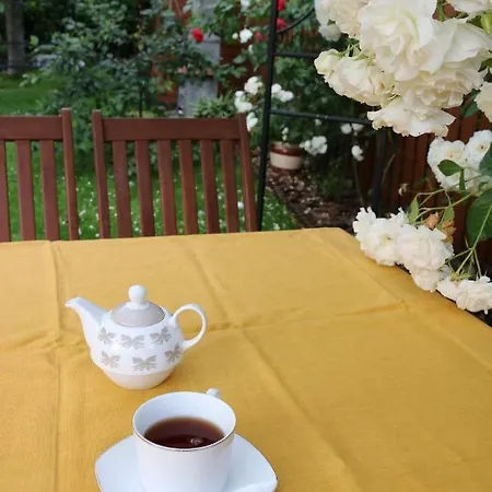 U Adeli 格丁尼亚