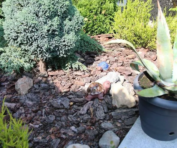 U Adeli * Гдыня