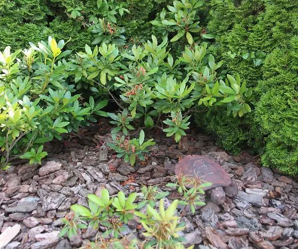 Apartament U Adeli *